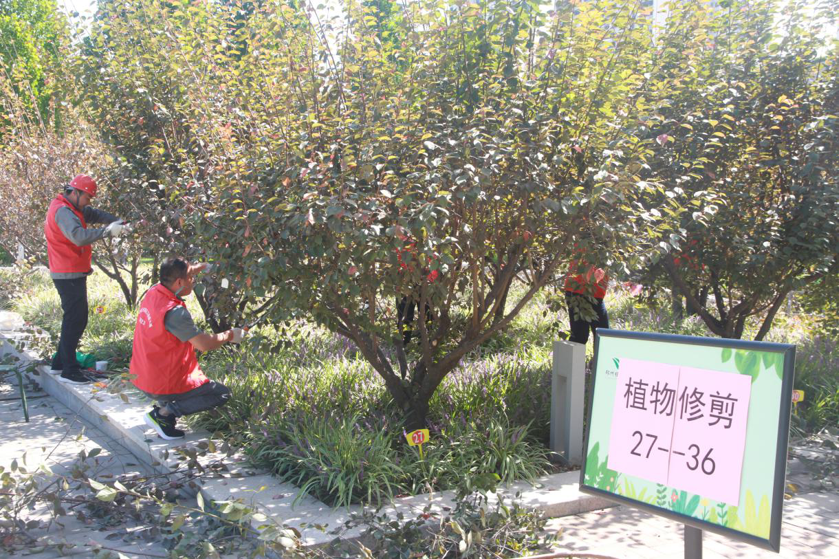 图片11.png