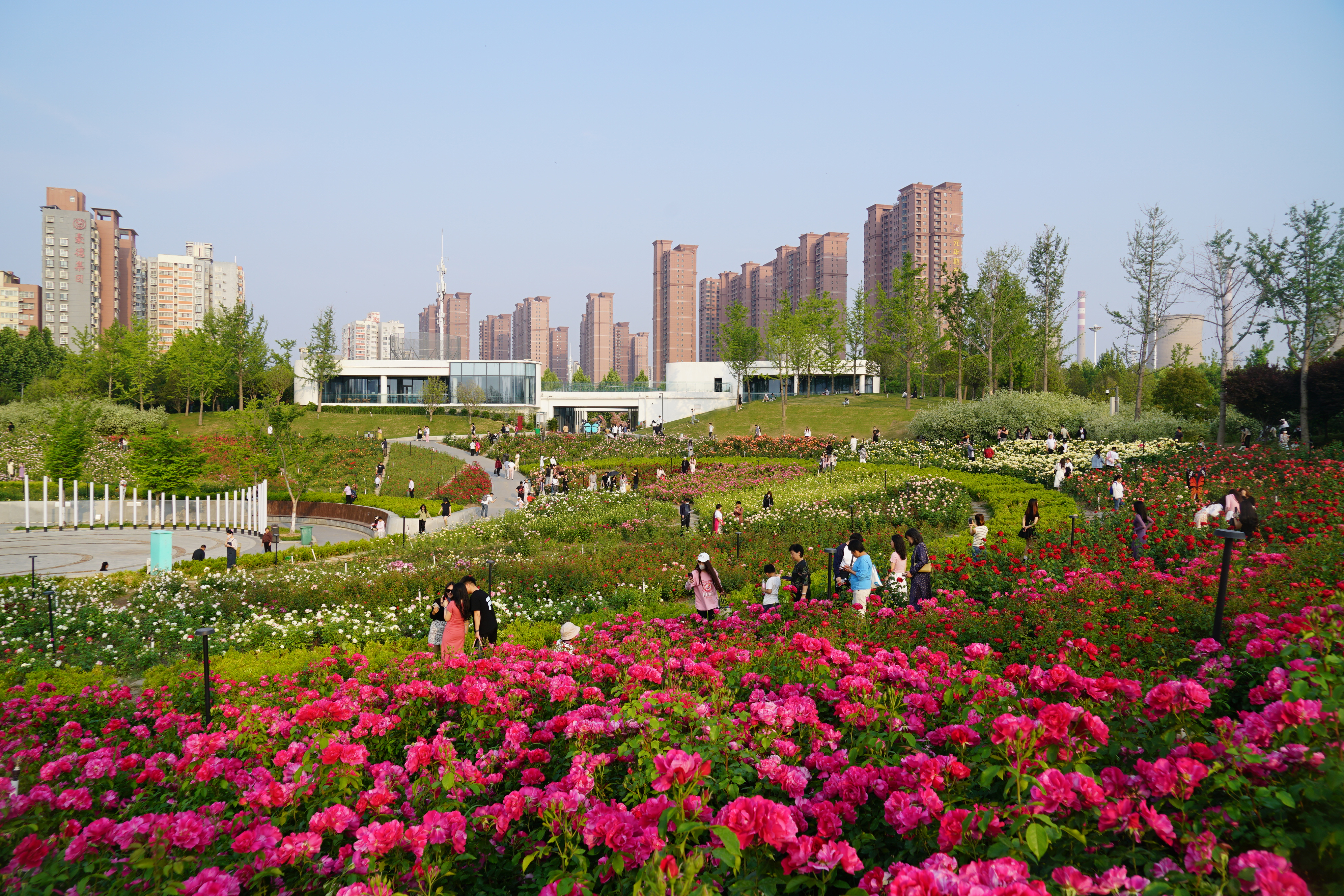 图片2.png